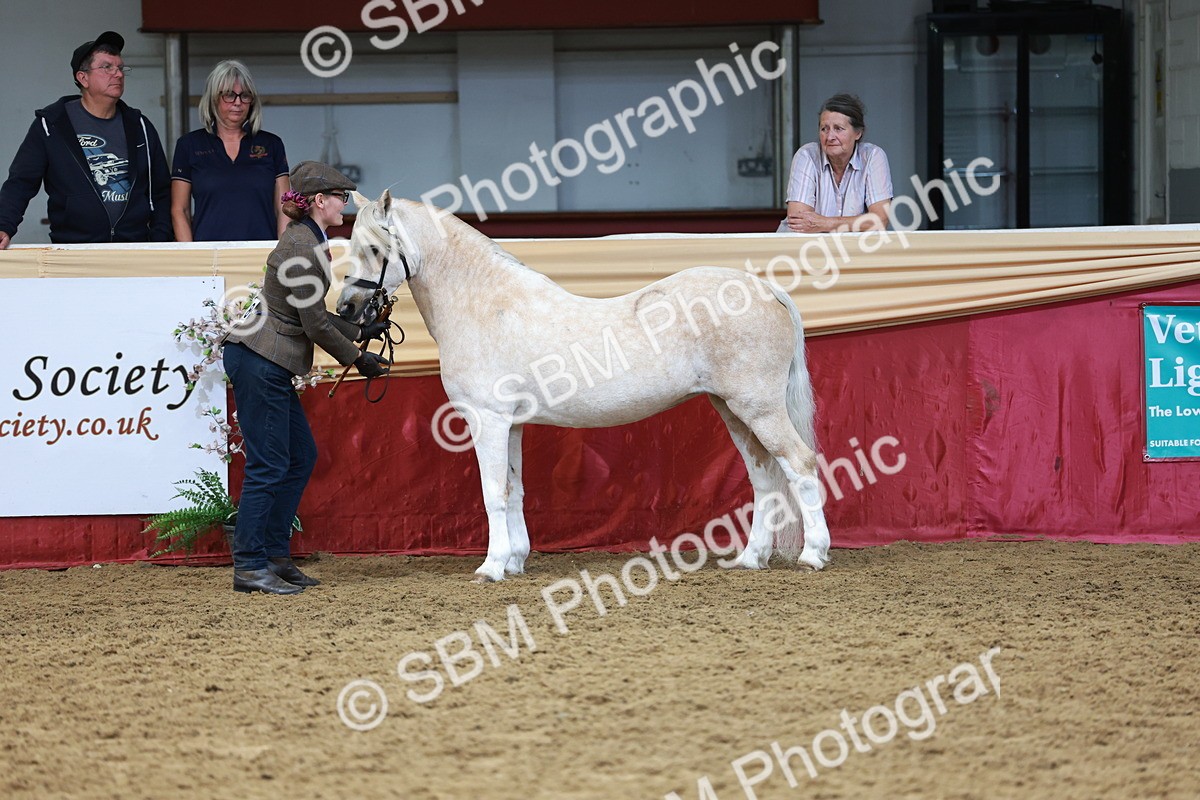 SBM_17392 - Class 951 - M&M IH Supreme Final