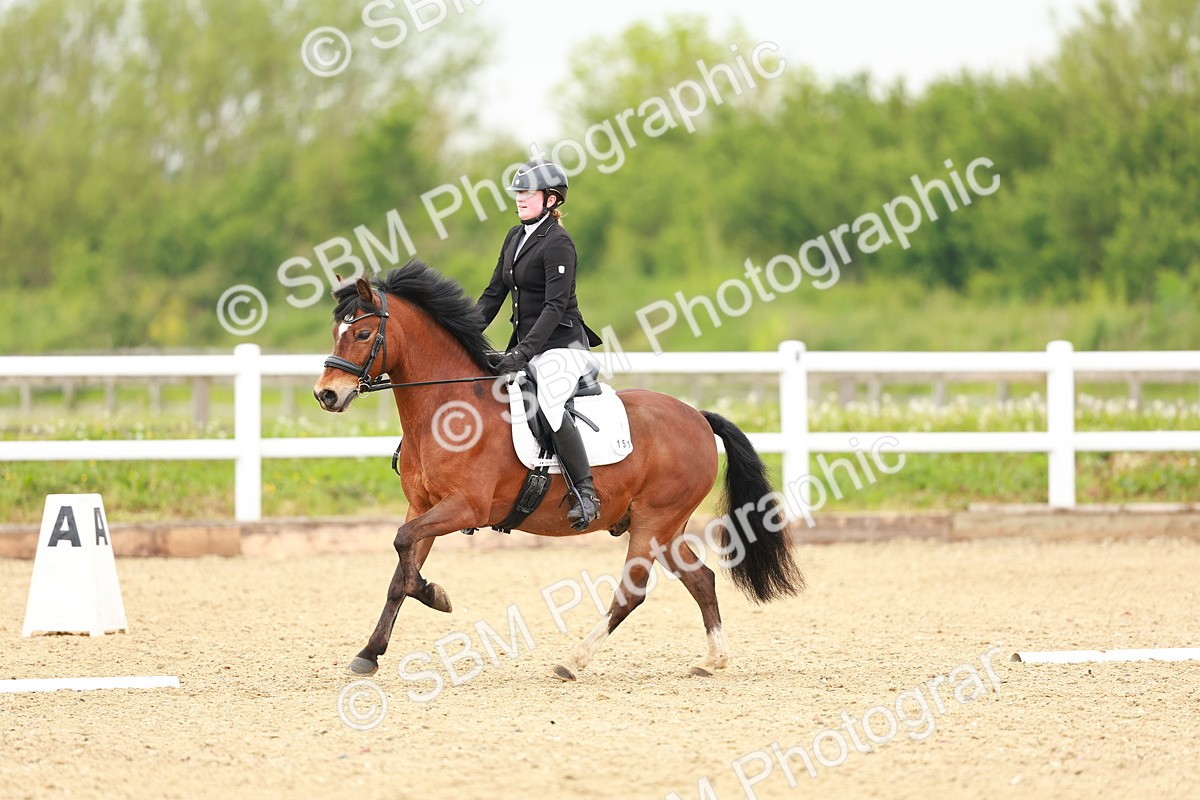 SBM_005276 - Class 16 - Novice 6