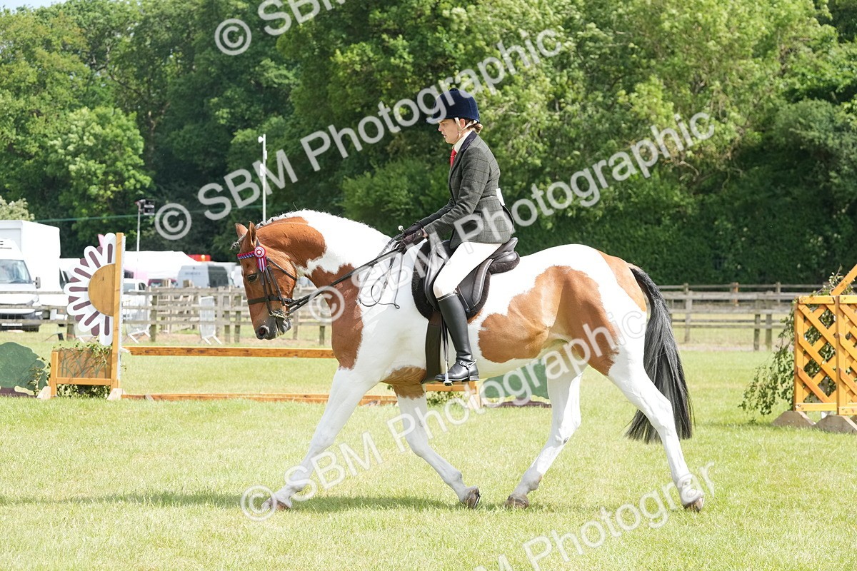 SBM_17580 - Class 107-108 - LIHS BSPS Performance Coloured Horse Pony