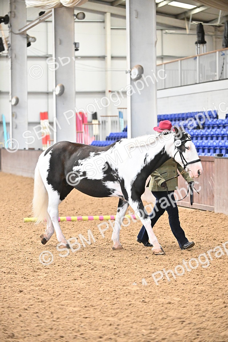 SBM_000269 - Class 10 - In Hand Coloured & Odd Coloured