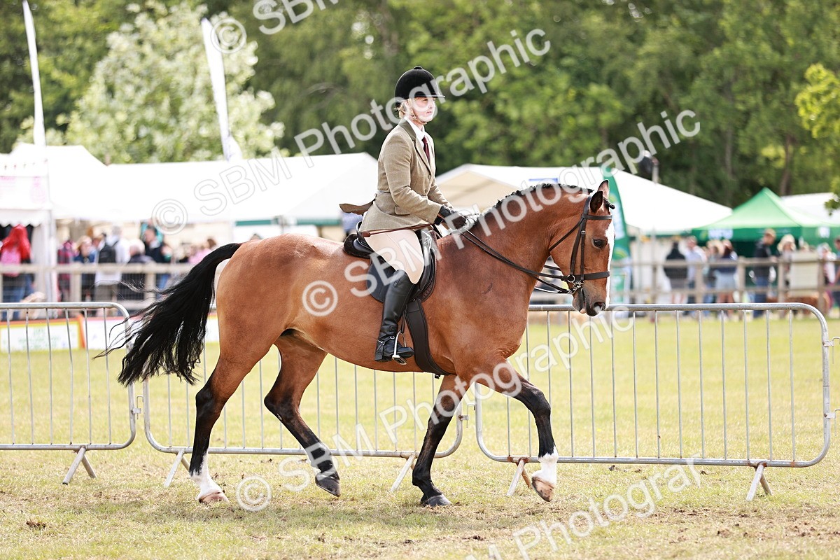 SBM_14515 - Class 88-89 - LIHS BSHA Rising Star of Ridden Hunter Type