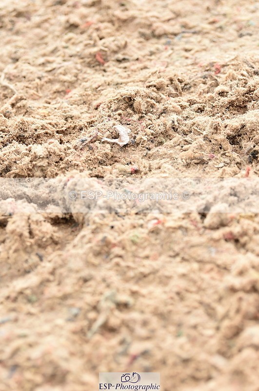 231013A-111042-01418 - Cls 1 85cm Amateur Quali