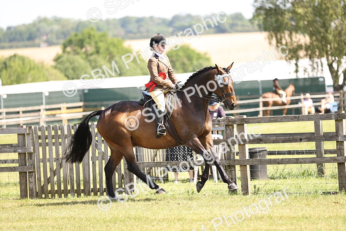 SBM_13074 - Class 75-76 LIHS BSHA Rising Star Hack Riding Horse