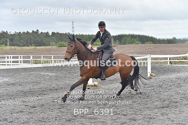 BPP_6391 - SUN CLASS 38 DISC/1M