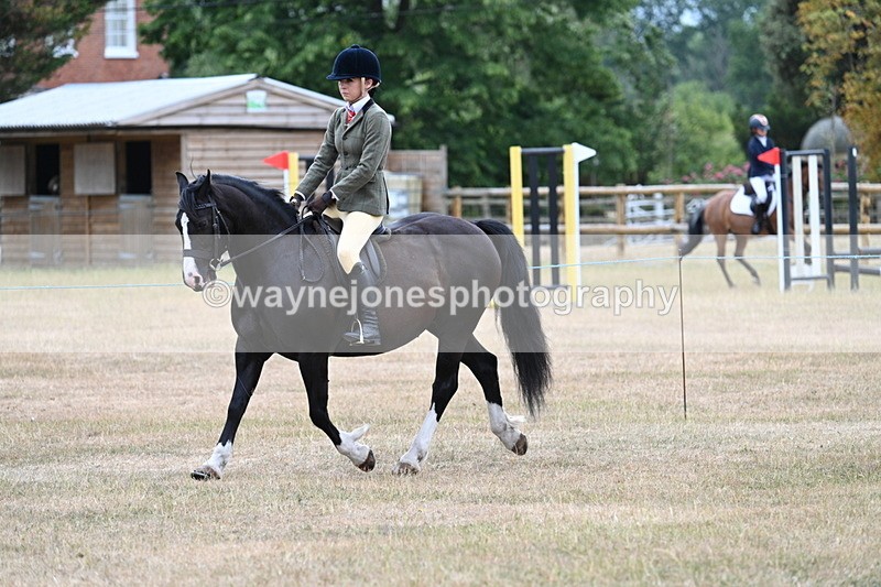 WJ7_0333 - Class 6 Ridden Mountain and Moorland