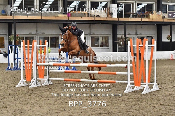 BPP_3776 - FRI CLASS 21 BR NOVICE/90CM