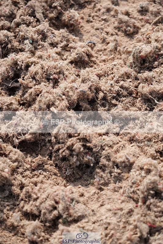 250608-091310-01711 - Cls 2 Pony Intro 70cm