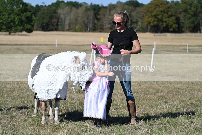 WJ7_2852 - Class 45 Fancy Dress (My Fav)