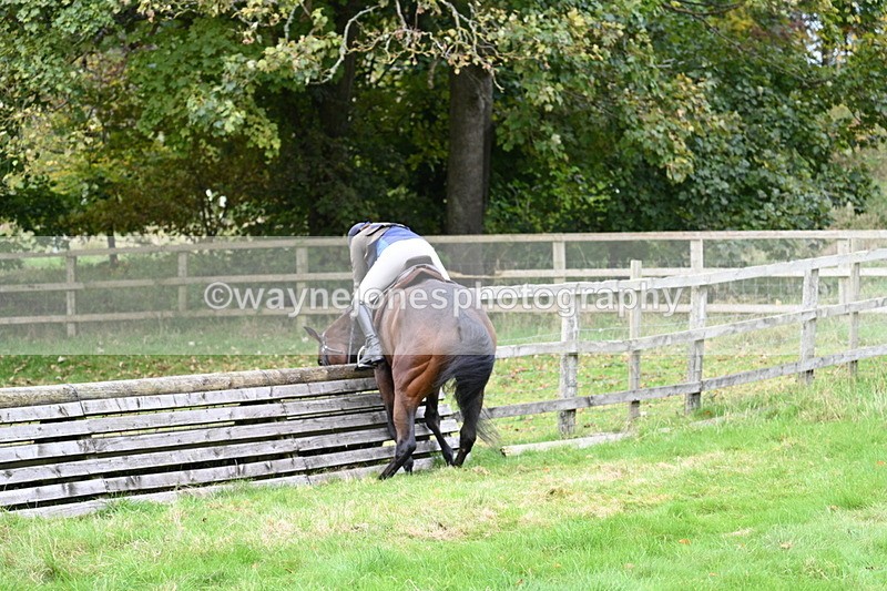 WJ7_4720 - Camera 1 Line 3