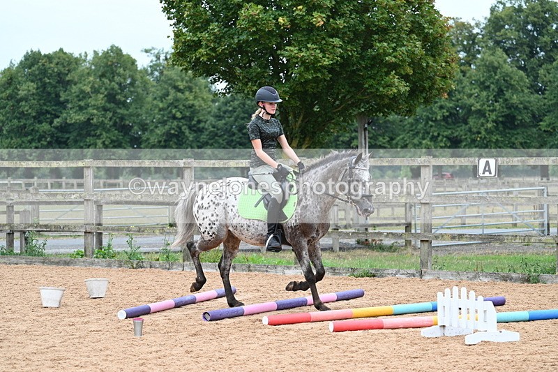 WJ7_9878 - Poles 14:00