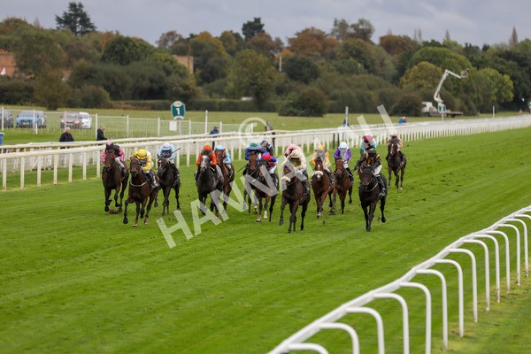 131023-Race 3-Apiarist-9768 - Race 3 3.15pm British EBF £100,000 Final