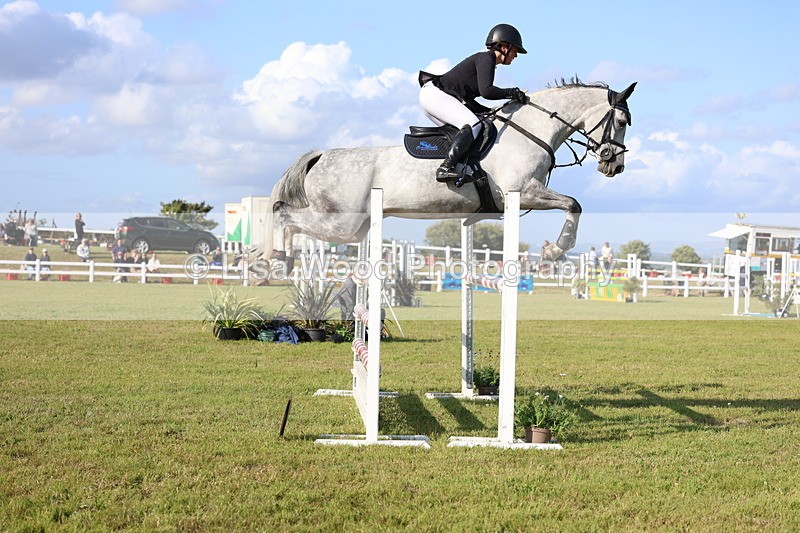 3E7A4463 - Class C: Showjumping Senior Foxhunter