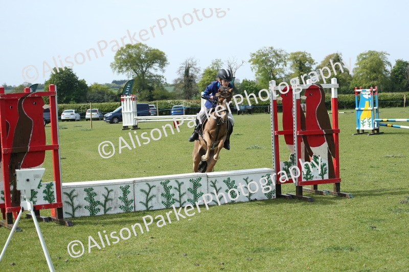 20260426-1736 - Class 14 - Novice 60cm