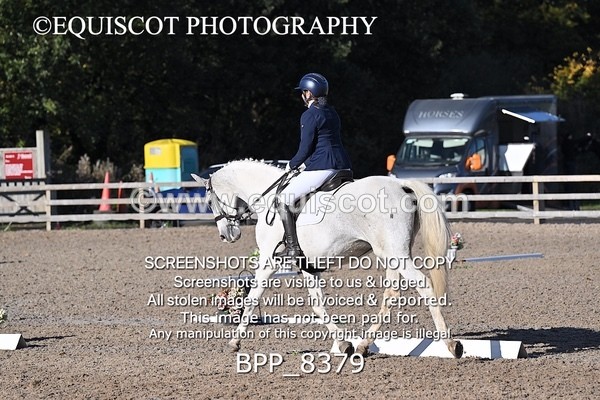 BPP_8379 - LONG ARENA