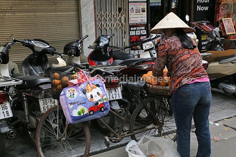 VIET_1232 - Vietnam 2017