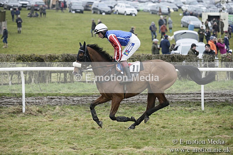 PtP 020418 -109 - Old Berks Point-to-Point Races Easter Monday 02/04/18