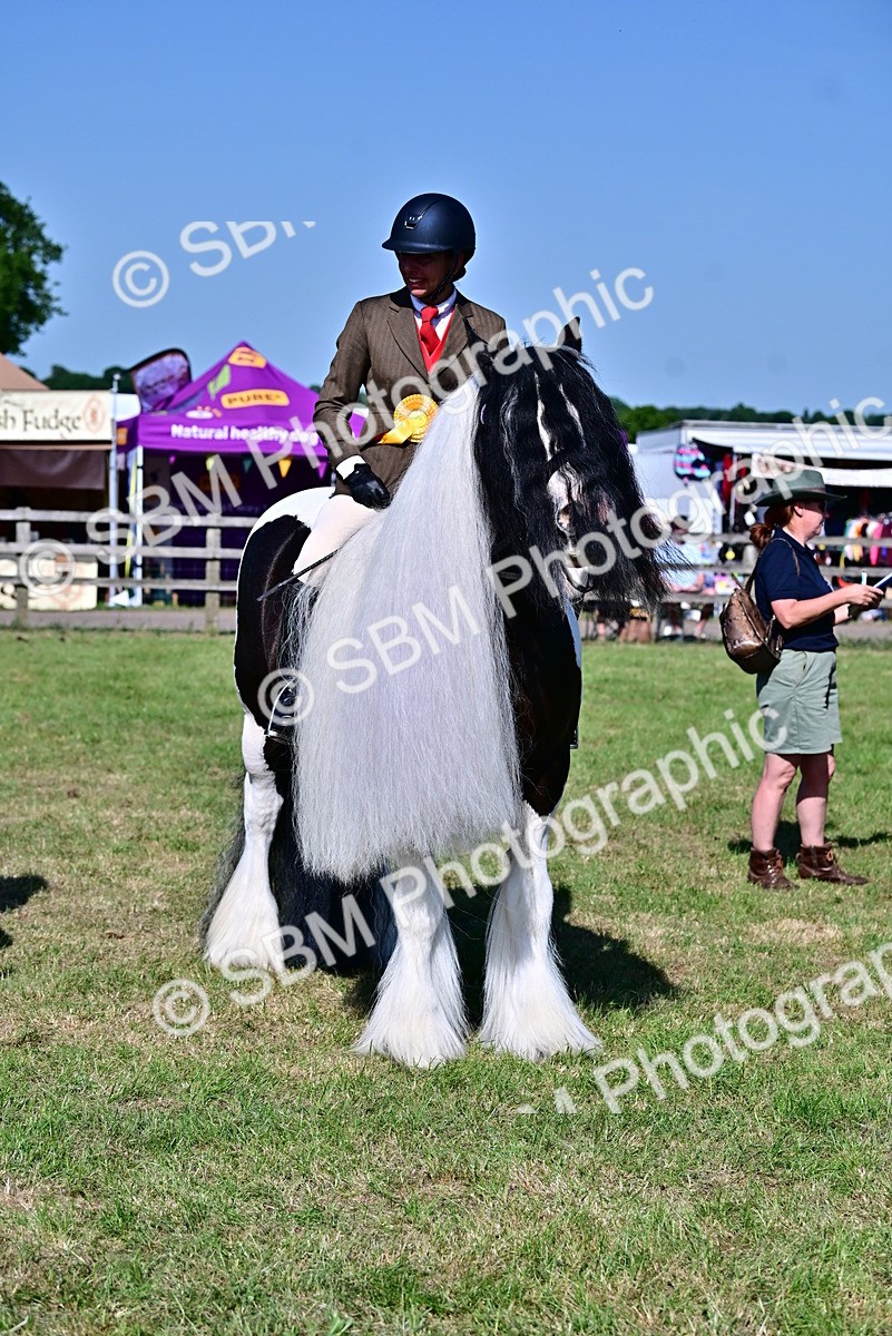 SBM_19461 - Class 101-102 - BSPS LIHS Performance Coloured Horse/Pony