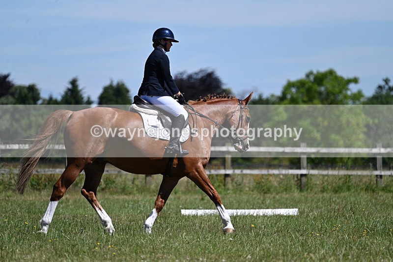 WJ7_0678 - Time 11:00am to 11:27am