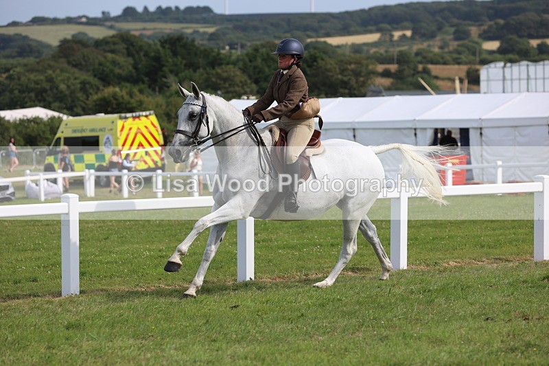 JPP_4279 - Class 25: Working Show Horse