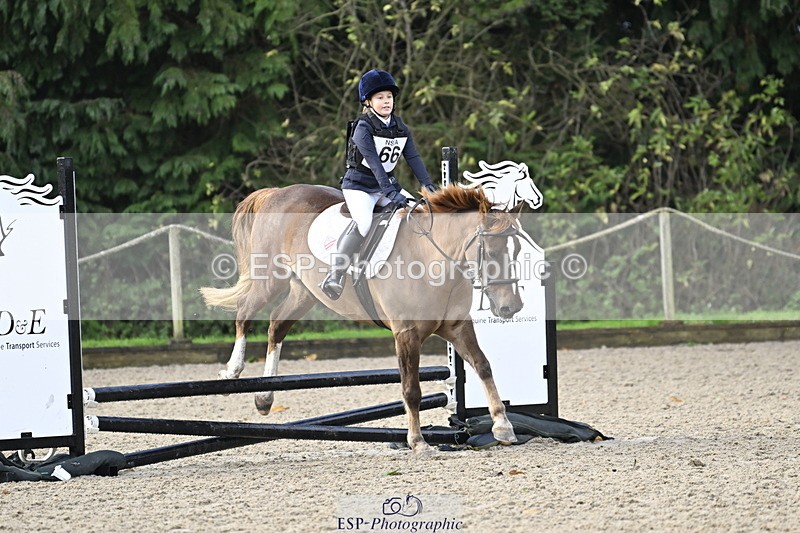 251005A-090123-02911 - Cls 02 GR 50cm