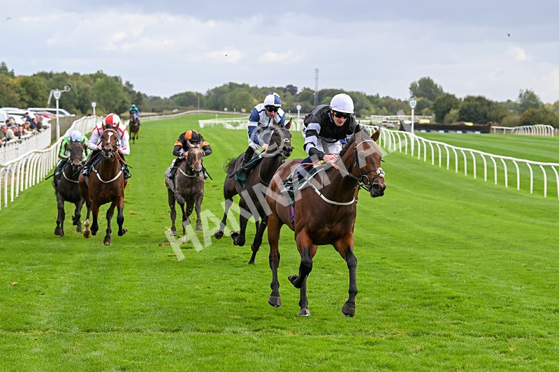 021024-Race 3-Kirkdale-9323 - Race 3