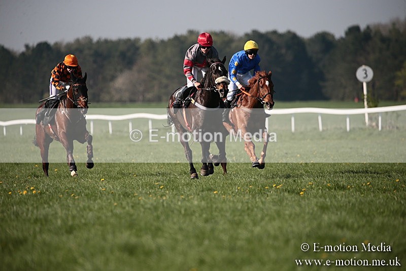 PtP 210418 521 - South & West Wilts Point-to-Point Larkhill 21/04/18