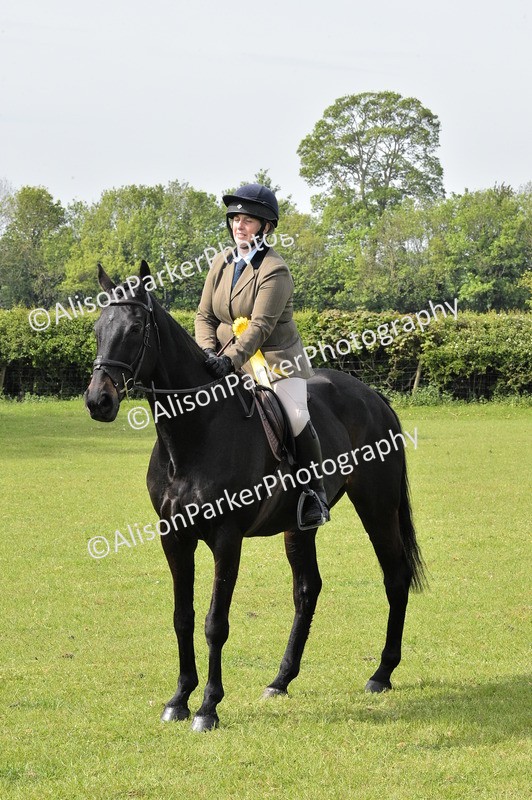 20260426-1177 - Class 19 - Retraining Of Racehorses