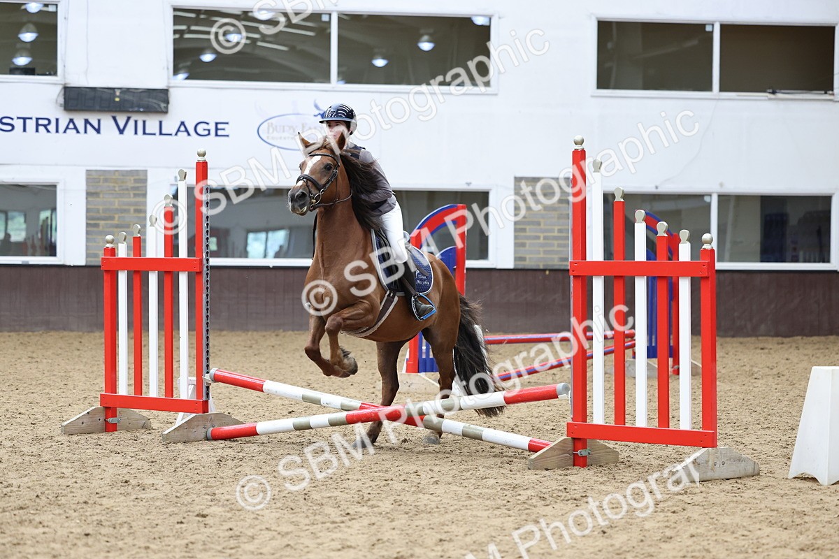 SBM_007776 - Class 3 - 60cm showjumping