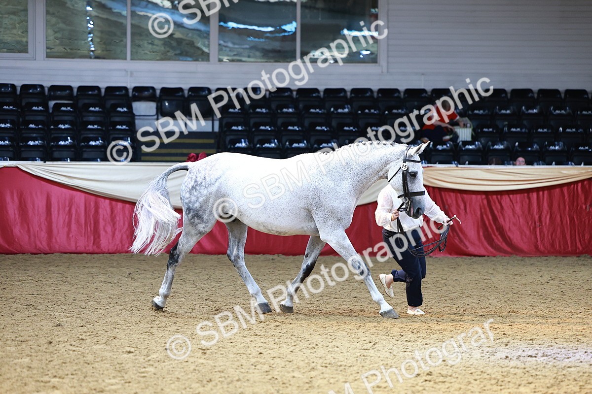 SBM_23234 - Class 903 - Supreme Final - IH Pre Vet