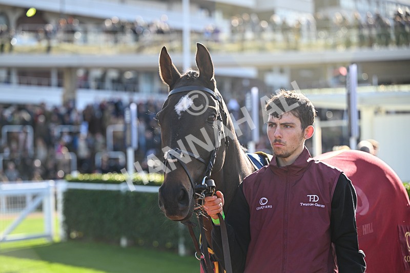 251025-Race 3-Ballycamus-8051 - Race 3
