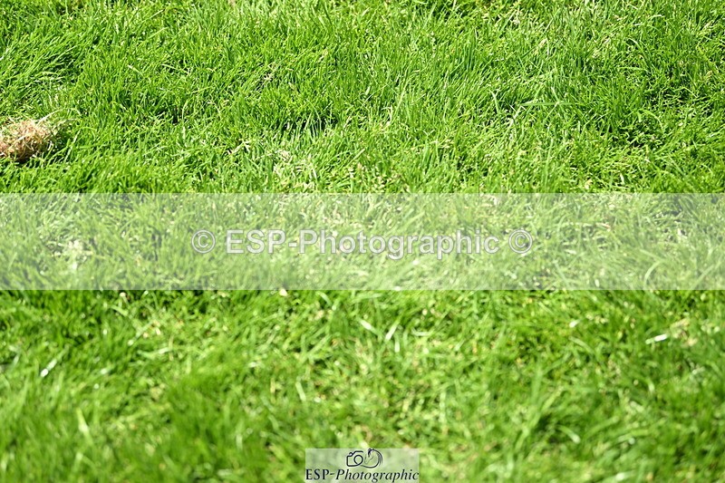 250615A-133956-11174 - Cls 38 Snr 1m40 GP