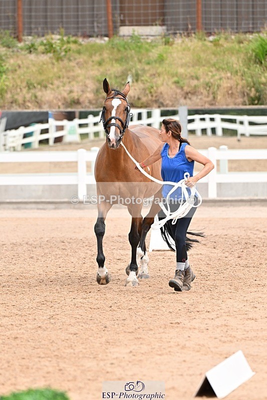 250716-144435-01348 - Trot Up 2.30 to 3.30