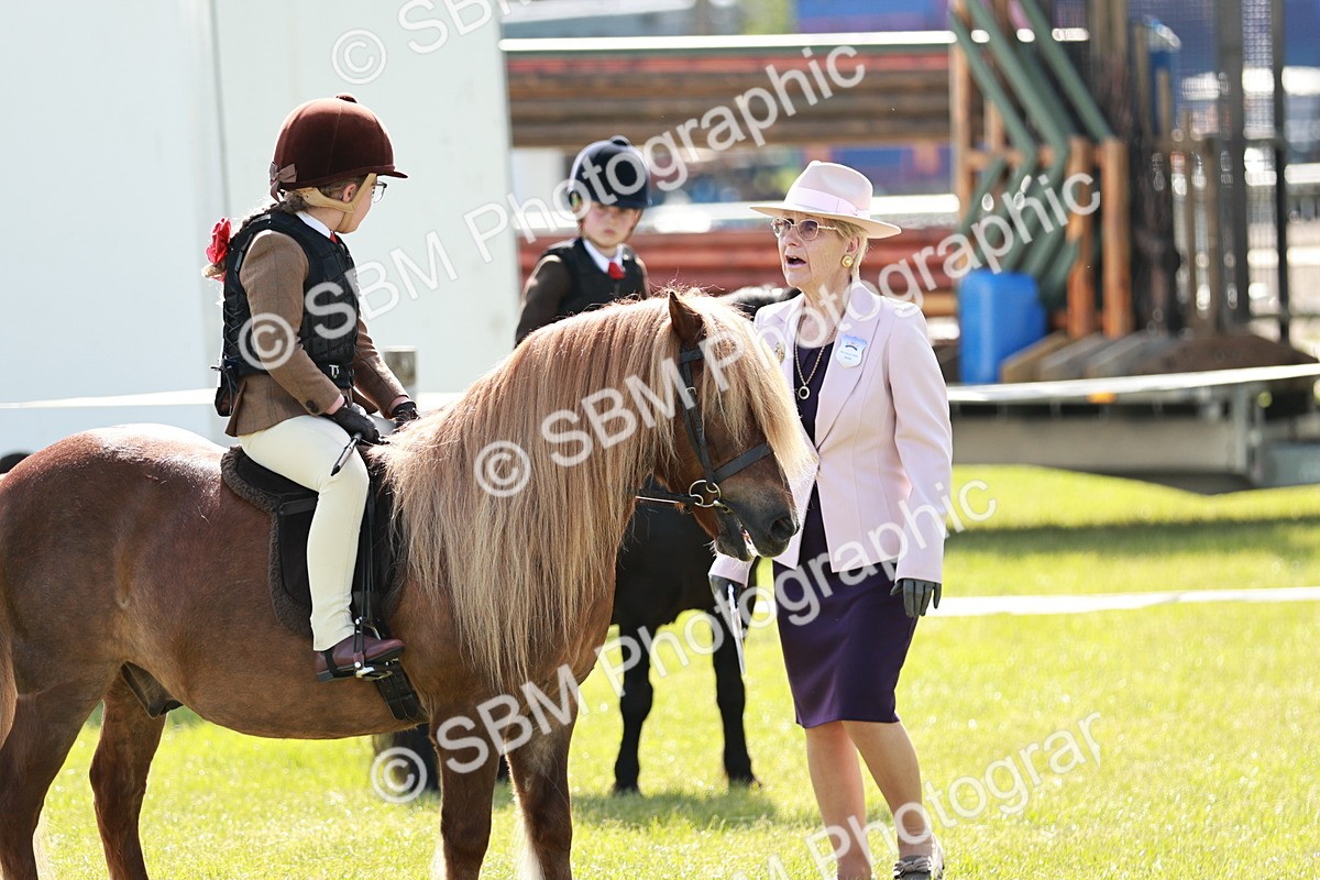 SBM_12756 - Class 106-107 - BSPS LIHS Working Sports Pony