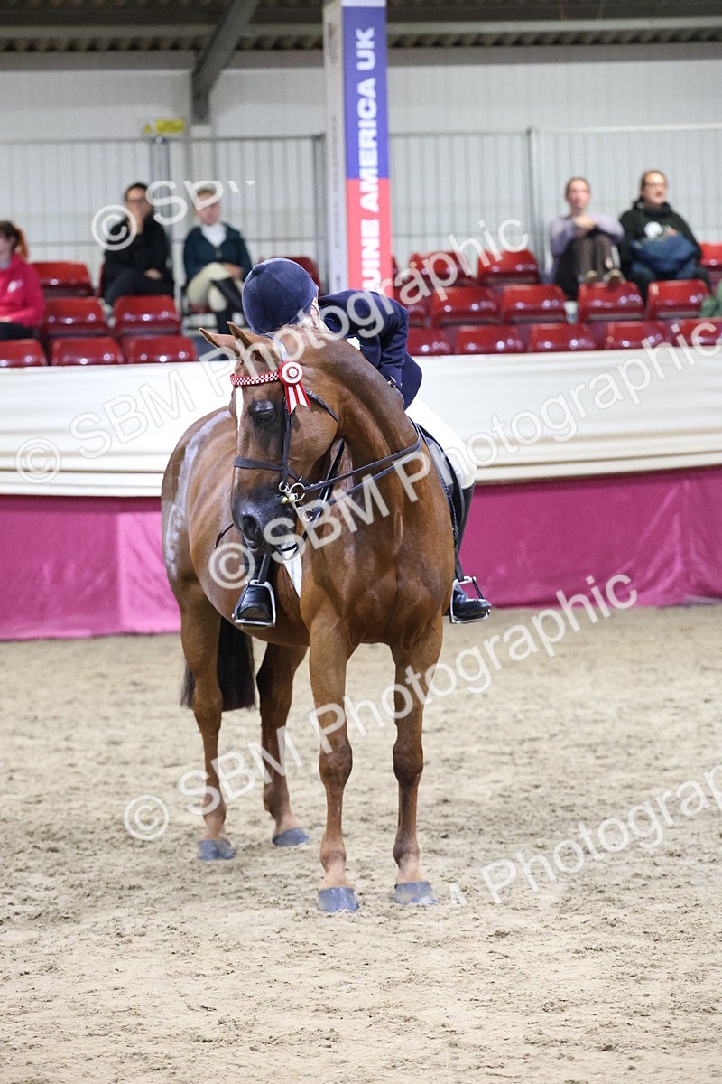 SBM_20931 - Class M - Equitation Champ