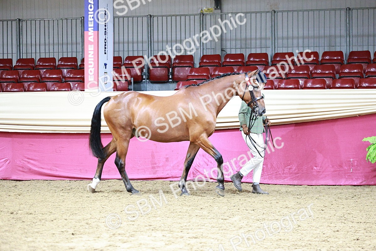 SBM_01114 - Class 3A - Area IH Pre-Vet