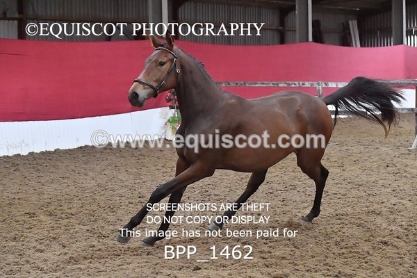 BPP_1462 - MORNING 9AM - 12PM