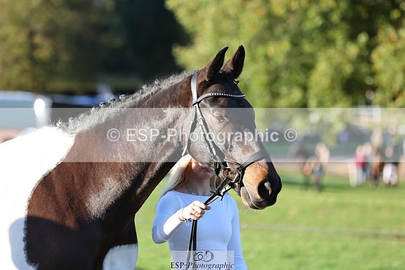 241027-085125-14855 - 307-Ava.Moor-LANGALLER.SUNRISE