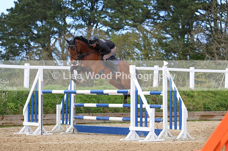 3E7A2044 - Class 8: Senior Foxhunter/1.20 open