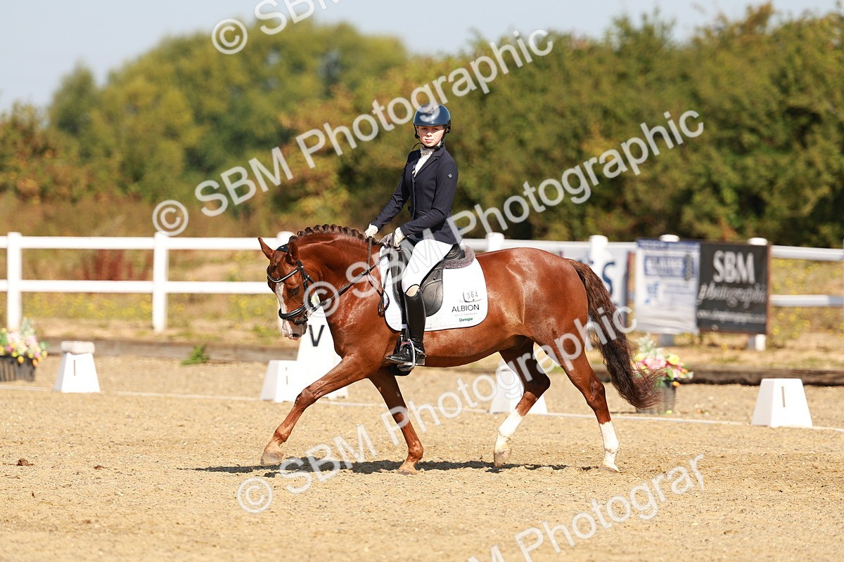 SBM_016799 - Class 9 - N5 Bronze 9.30.10.19