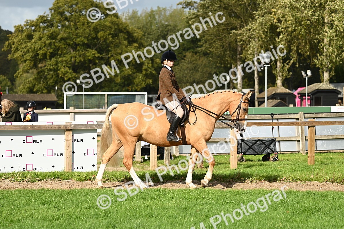SBM_26289 - S6 - Novice & newcomer Ridden horse