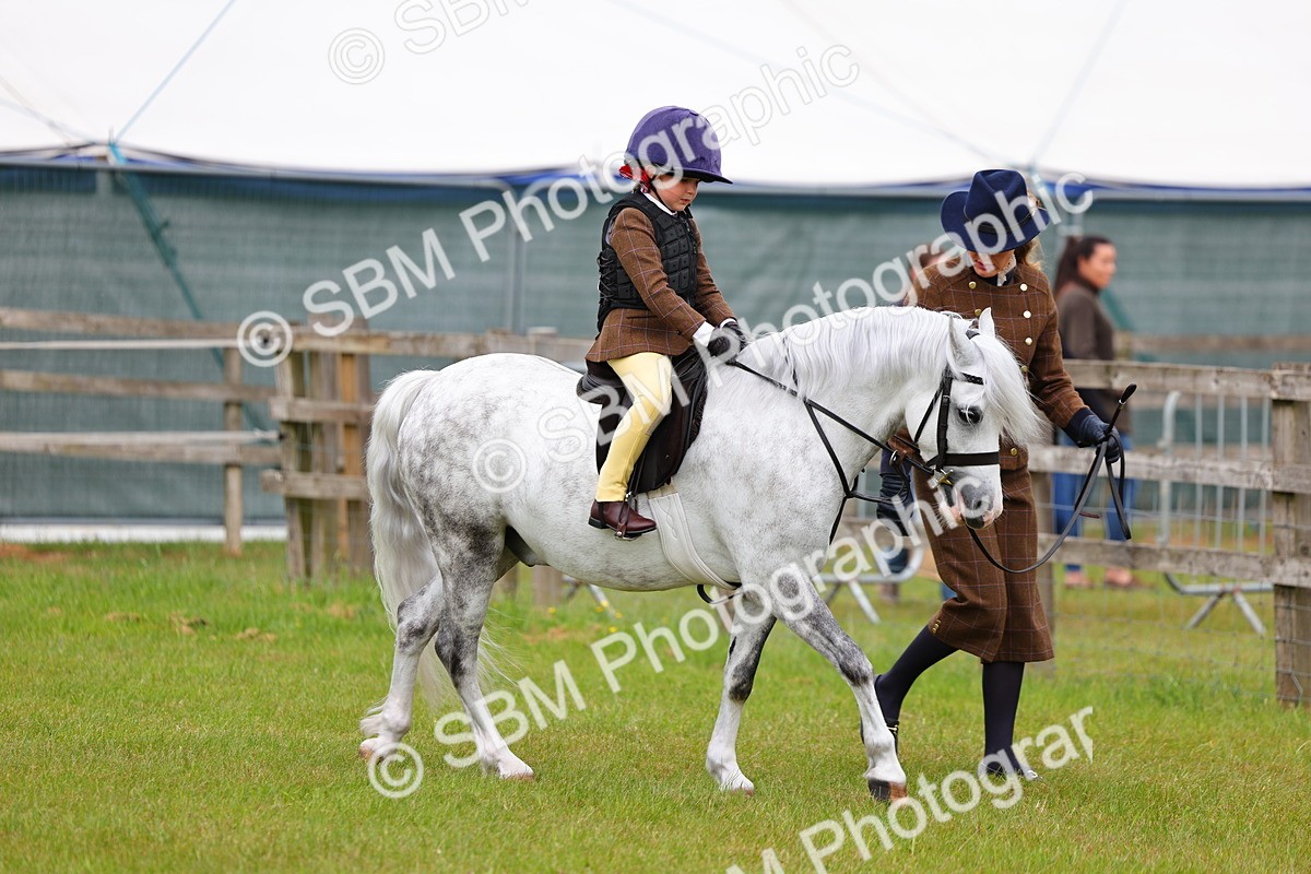 SBM_08074 - Class 42-43 - LIHS BSPS Heritage Working Sports Pony