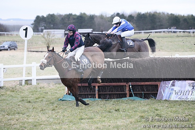 PtP 180218 258 - Combined Services Point-to-Point Larkhill 18/02/18