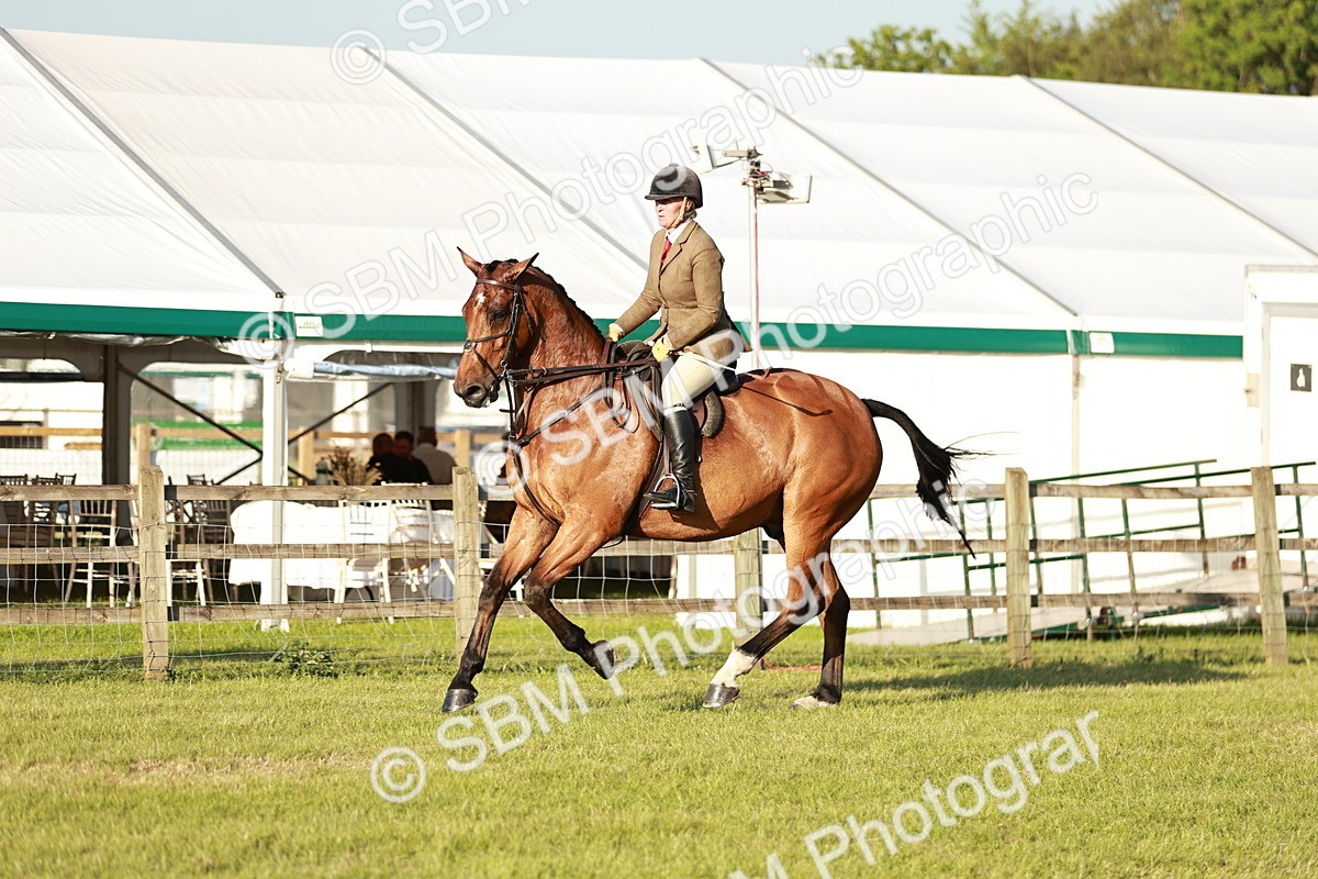 SBM_20474 - Class 117-119 - Sport Horse Working Hunter
