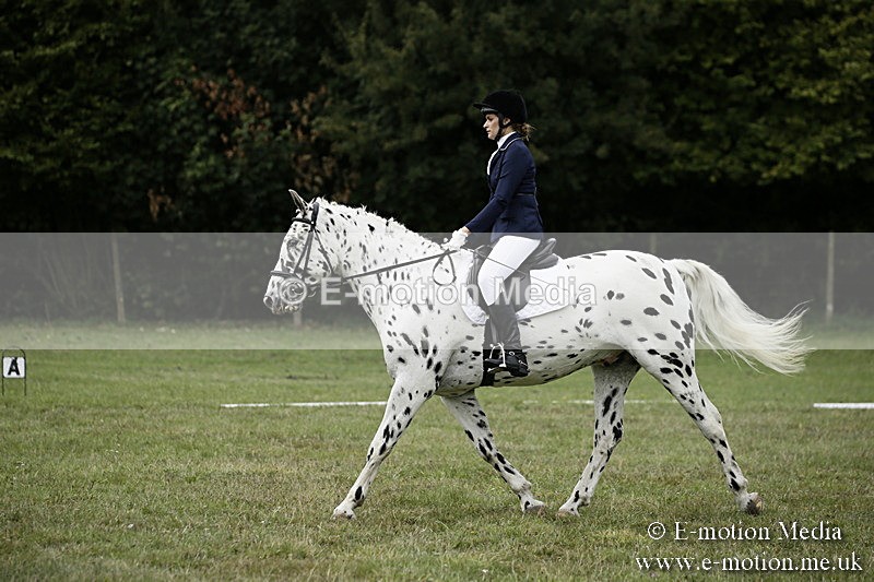BVR080918 111 - BVRC Novice Dressage & CR 08/09/18
