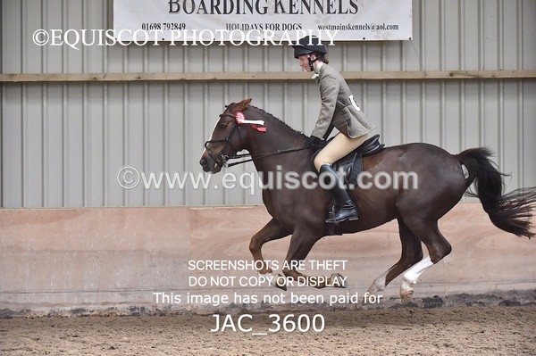 JAC_3600 - CLASS 9 BHS Scotland Riding Club Working Hunter Qualifier