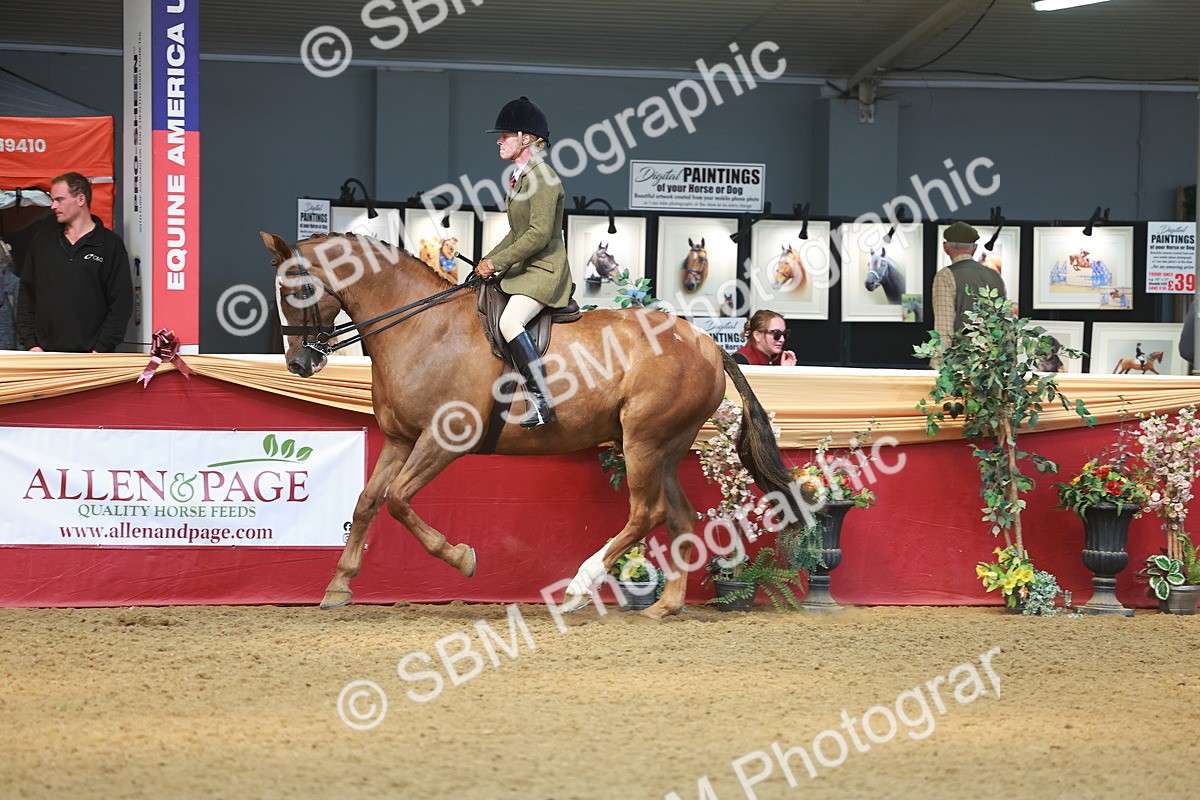 SBM_12572 - Class 103 - HOYS Veteran Qualifier - Ridden Pre Vet