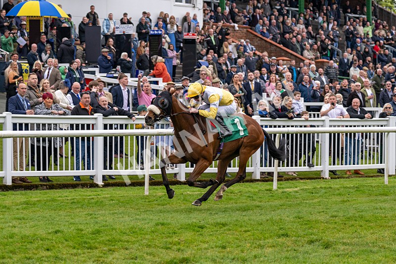 040524-Race 2-Wobwobwob-4089 - Race 2