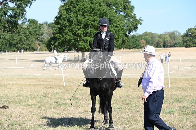WJ6_7595 - Class 34 Judges Choice