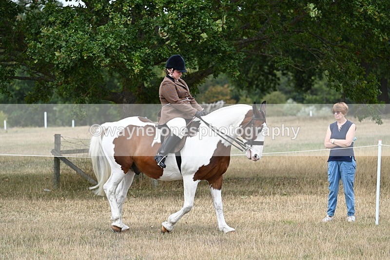 WJ7_4648 - Class 12 Ridden Cob