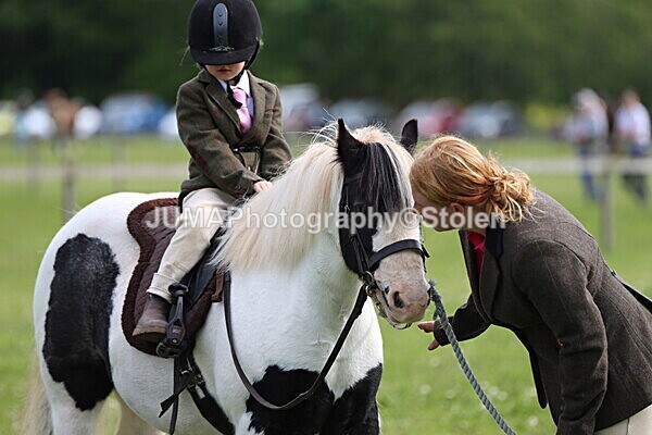 IMG_2323 - Working Hunter
